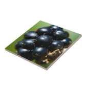 Carreau Blackberry (Côté)