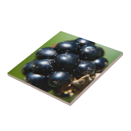 Carreau Blackberry (Côté)