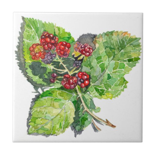 Carreau BlackBerry (Devant)