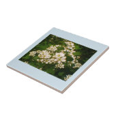 Carreau Blackberry Bloom (Côté)