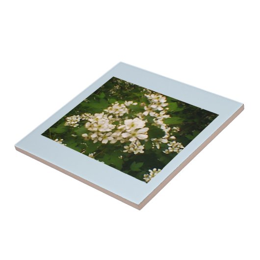 Carreau Blackberry Bloom (Côté)