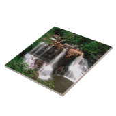 Carreau Blackwater Falls, Virginie-Occidentale, pittoresqu (Côté)