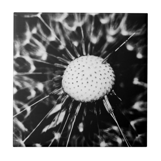 Carreau blacq (Devant)