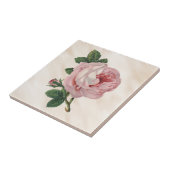 Carreau Blanc brumeux d'antiquité rose de satin de chou de (Côté)