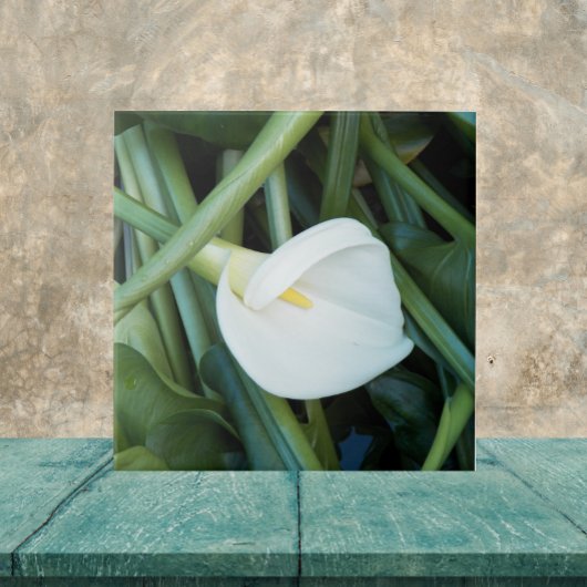 Carreau Blanc Calla Lily et vert Folial Floral