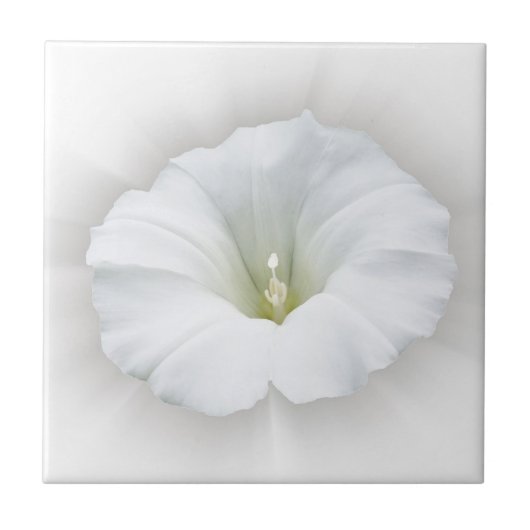 Carreau blanc et gris (Devant)