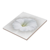 Carreau blanc et gris (Côté)