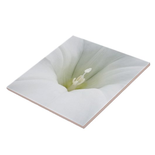 Carreau blanc et gris (Côté)