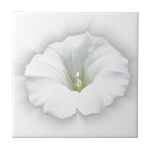 Carreau blanc et nuances de gris (Devant)