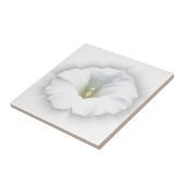 Carreau blanc et nuances de gris (Côté)