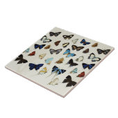 Carreau BLANC NOIR BUTTERFLIES BLEU Beauté Nature Lover (Côté)