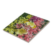 Carreau blanc + rose, vert + violet, fleur + floraison, co (Côté)