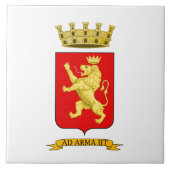 Carreau Blason de Vintimille (Devant)