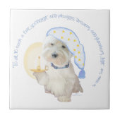 Carreau Bleu (Devant)