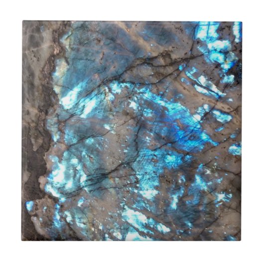 Carreau Bleu (Devant)