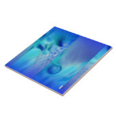 Carreau Bleu (Côté)