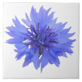 carreau bleu (Devant)