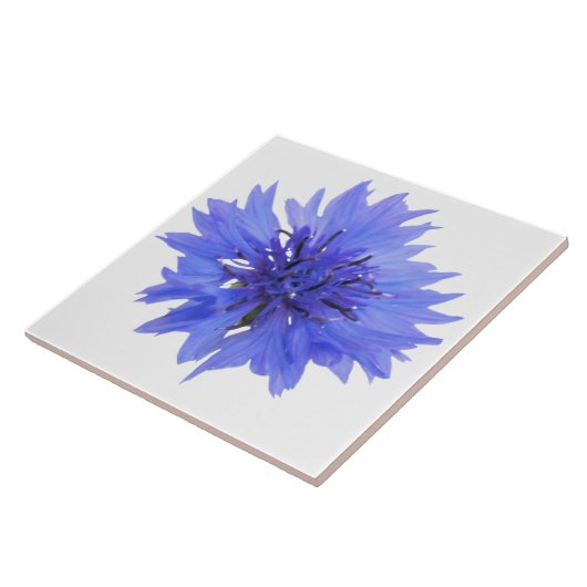 carreau bleu (Côté)