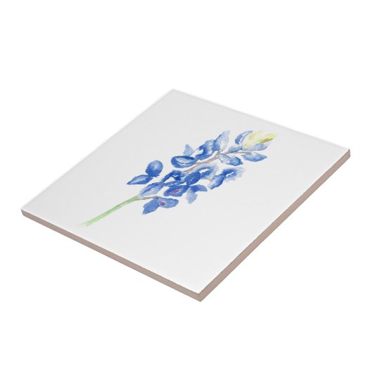 Carreau Bleu 1 (Côté)