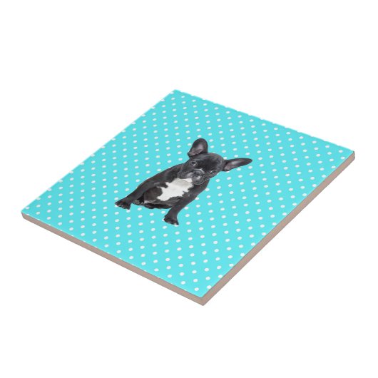 Carreau Bleu Chien à Chien à Chien Bleu Pois mignon (Côté)