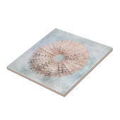 Carreau Bleu côtier et crèmes de pêche Mer détendue (Côté)