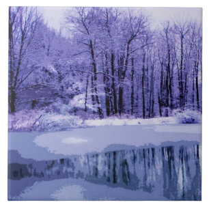 Carreau Bleu Hiver