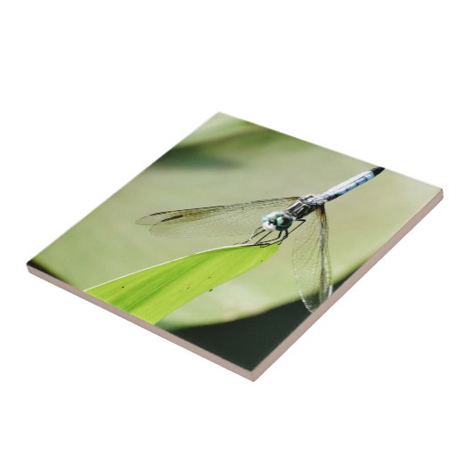 Carreau Bleu libellule sur une feuille verte (Côté)