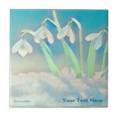 Carreau Bleu neige (Devant)