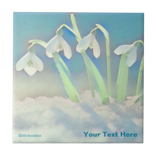 Carreau Bleu neige (Devant)