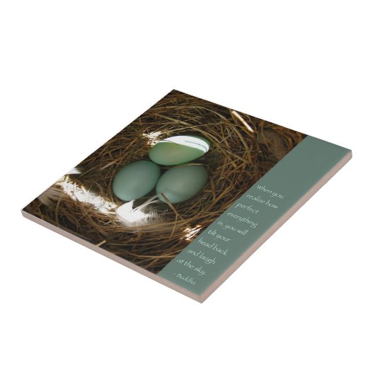 Carreau Bleu nid avec devis Bouddha (Côté)