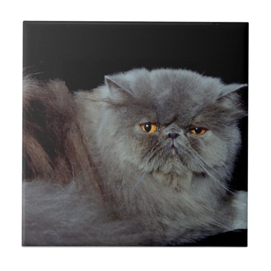 Carreau Bleu perse (Devant)