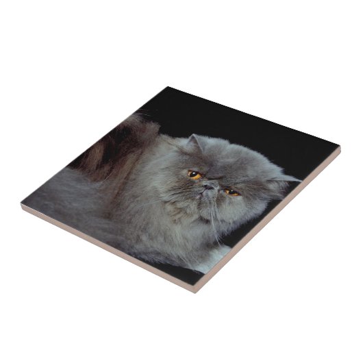 Carreau Bleu perse (Côté)