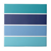 Carreau Bleu rayé (Devant)