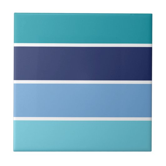 Carreau Bleu rayé (Devant)