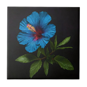 Carreau "Bleu rayonnant : Fleur d'Hibiscus sur noir