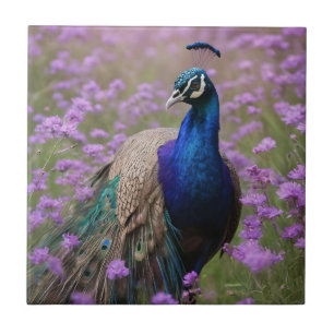 Carreau Bleu Royal : Bleu Peacock En Champ Lavande,