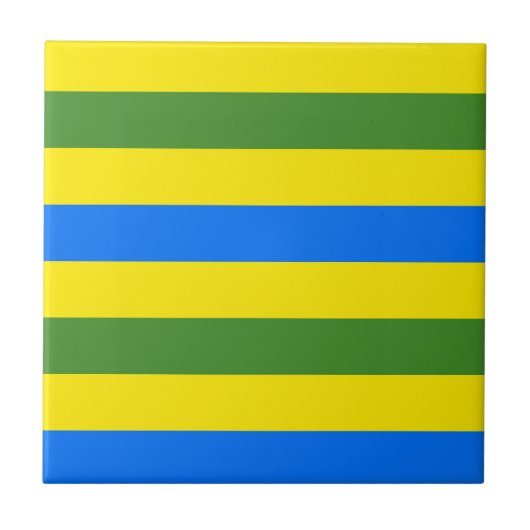 Carreau Bleu vert et jaune (Devant)