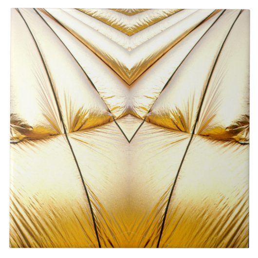 Carreau Bling (Devant)