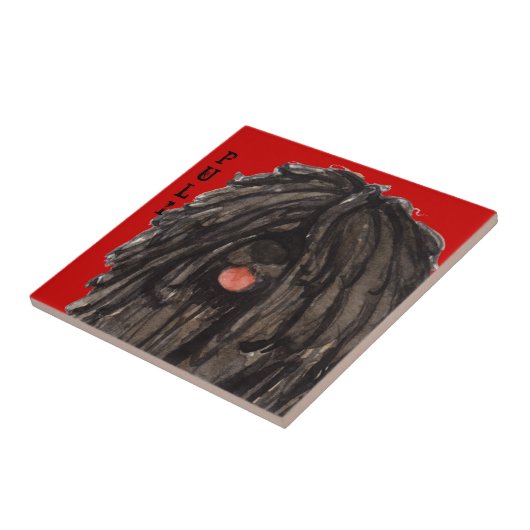 Carreau Bloc de couleur de Puli (Côté)