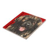 Carreau Bloc de couleur Leonberger (Côté)