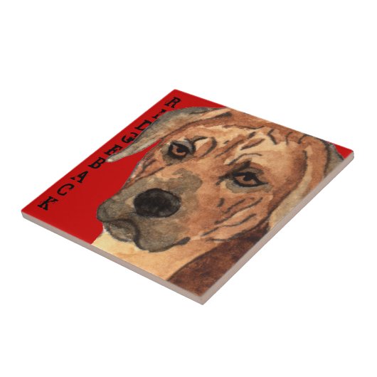 Carreau Bloc de couleur Rhodesian Ridgeback (Côté)