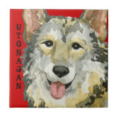 Carreau Bloc de couleur Utonagan (Devant)