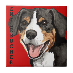 Carreau Bloc de couleurs Entlebucher
