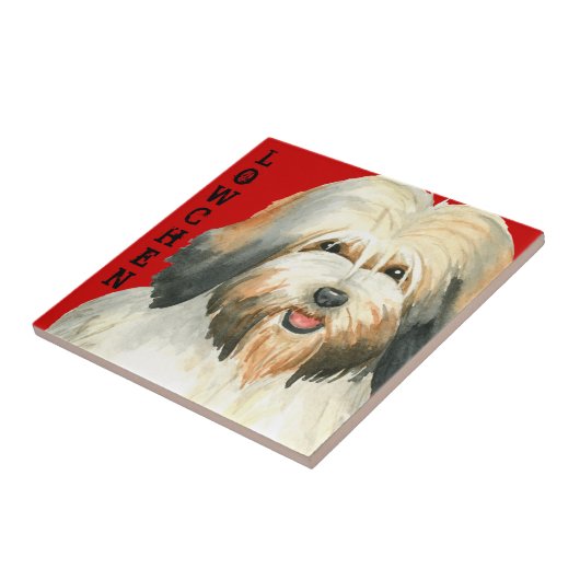 Carreau Bloc de couleurs Lowchen (Côté)