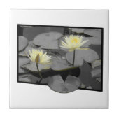 Carreau Bloom au-delà du cadre (Devant)