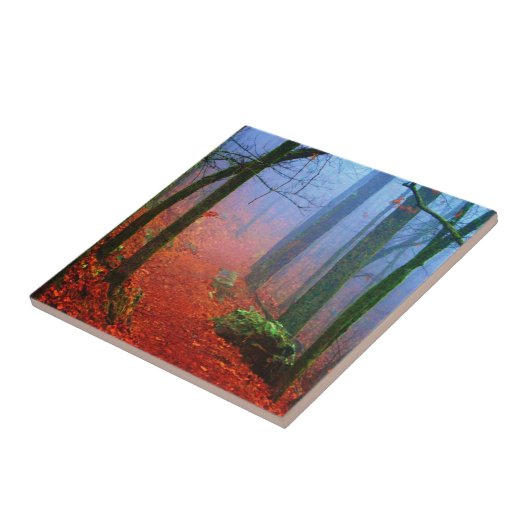 Carreau Blue fog (Côté)