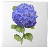 Carreau Blue Hydrangea Flower Botanical Art (Devant)