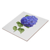 Carreau Blue Hydrangea Flower Botanical Art (Côté)
