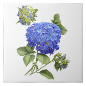 Carreau Blue Hydrangea Flower Botanical Art (Devant)