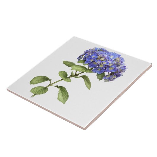 Carreau Blue Hydrangea Flower Botanical Art (Côté)